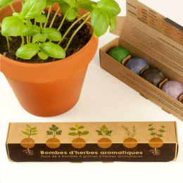 Pack de 6 bombes de graines aromatiques