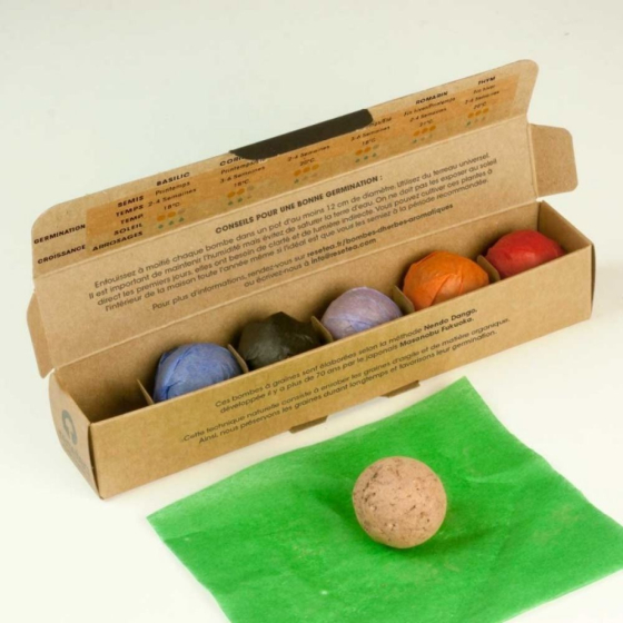 Pack de 6 bombes de graines aromatiques