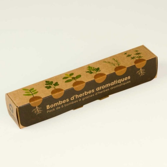 Pack de 6 bombes de graines aromatiques