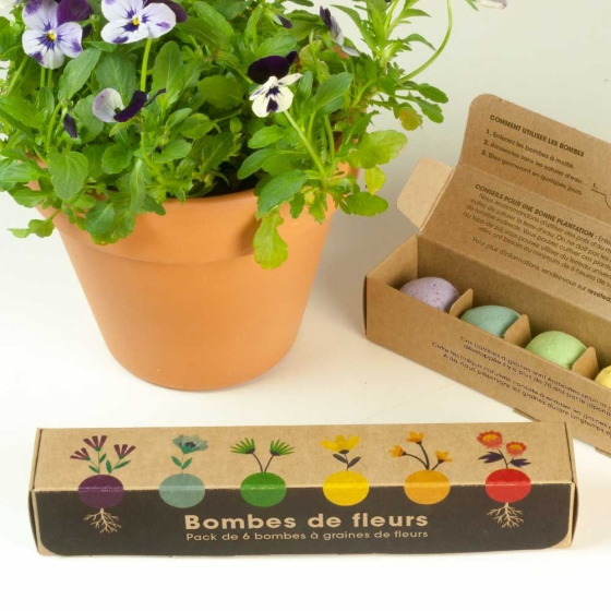Pack de 6 bombes de graines de fleurs