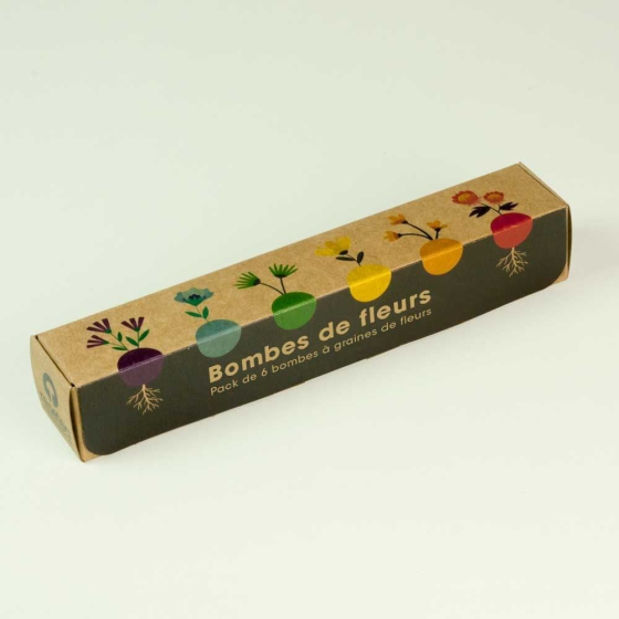 Pack de 6 bombes de graines de fleurs