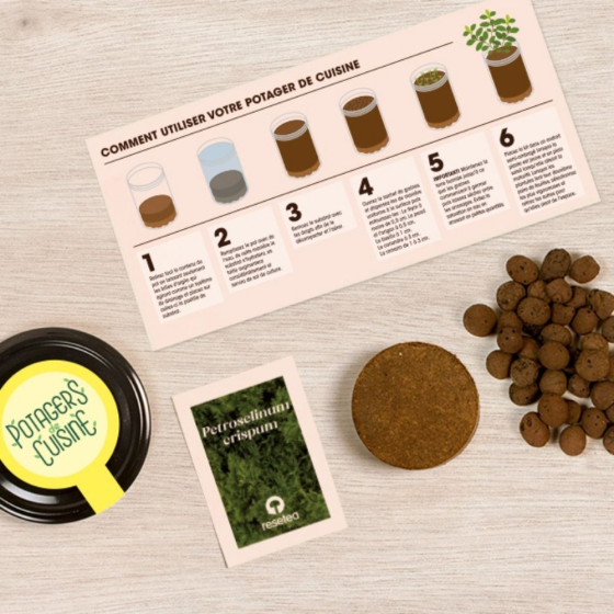 Potager de persil pour la cuisine