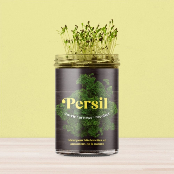Potager de persil pour la cuisine