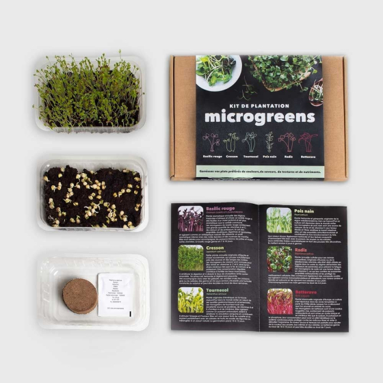 Kit d'autoculture de micro-pousses