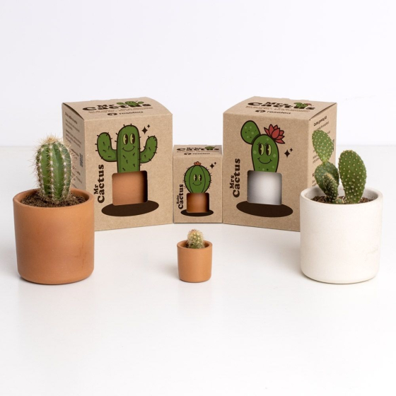 Kit de culture Mr Cactus