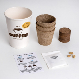 Kit de culture de café