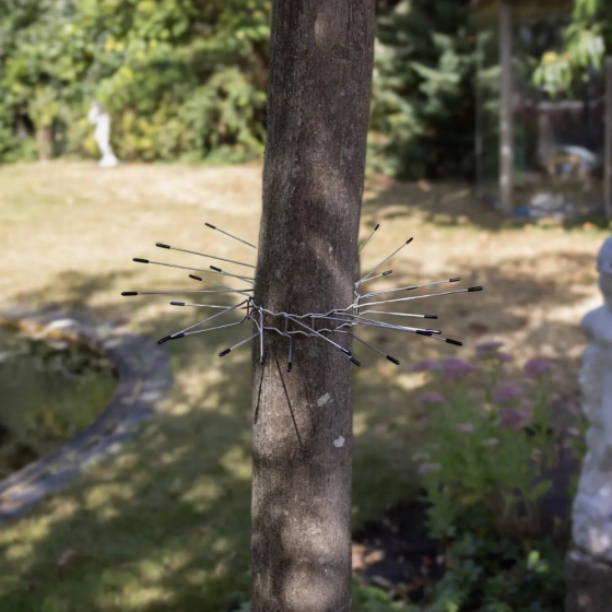 Ceinture de protection contre les chats pour arbre