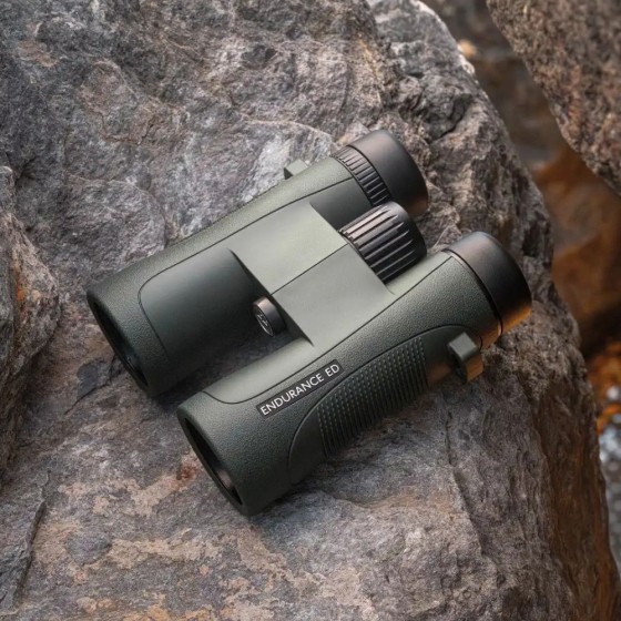 Jumelles Hawke Endurance ED - 8x32