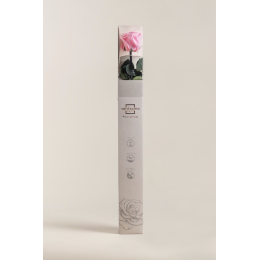 Coffret rose premium rose pastel