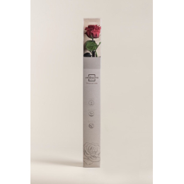 Coffret rose premium Bordeaux