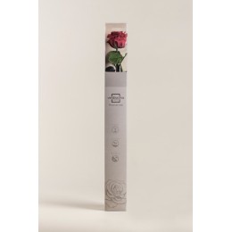 Coffret rose premium Bordeaux