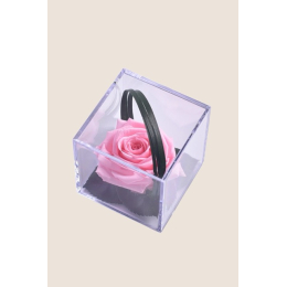 Rose pastel Melchor stabilisée