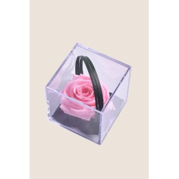 Rose pastel Melchor stabilisée