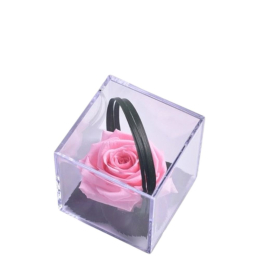 Rose pastel Melchor stabilisée