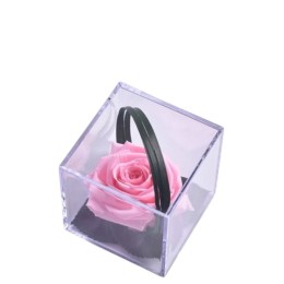 Rose pastel Melchor stabilisée