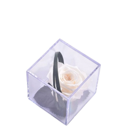 Rose Champagne Melchor stabilisée