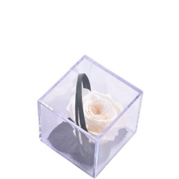Rose Champagne Melchor stabilisée