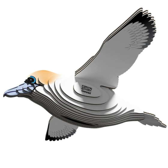 Fou de bassan – Eugy 3D