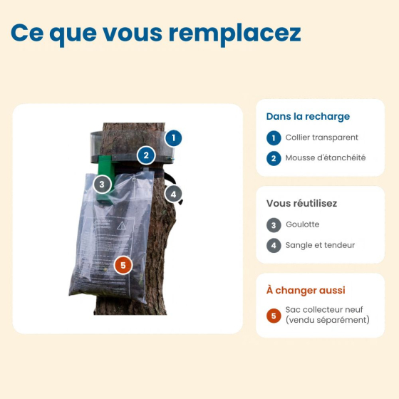 Kit de rechange Procerex - Mousse et collier - Circonférence 3,14 m