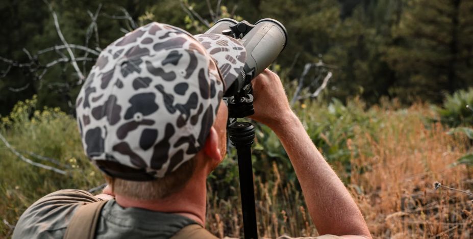 Observation de la nature grâce à la gamme de jumelles R7