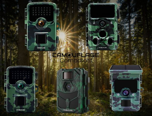 Quel piège photo choisir pour observer la faune ? Comparatif des modèles EZ