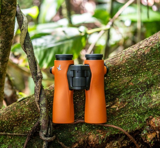 Observation de la nature